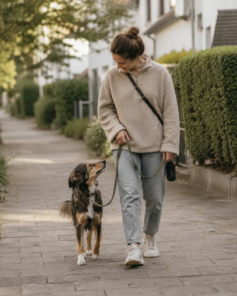 Mirja läuft mit einem angeleinten Hund durch eine Wohnstraße und hält Blickkontakt zu ihm.