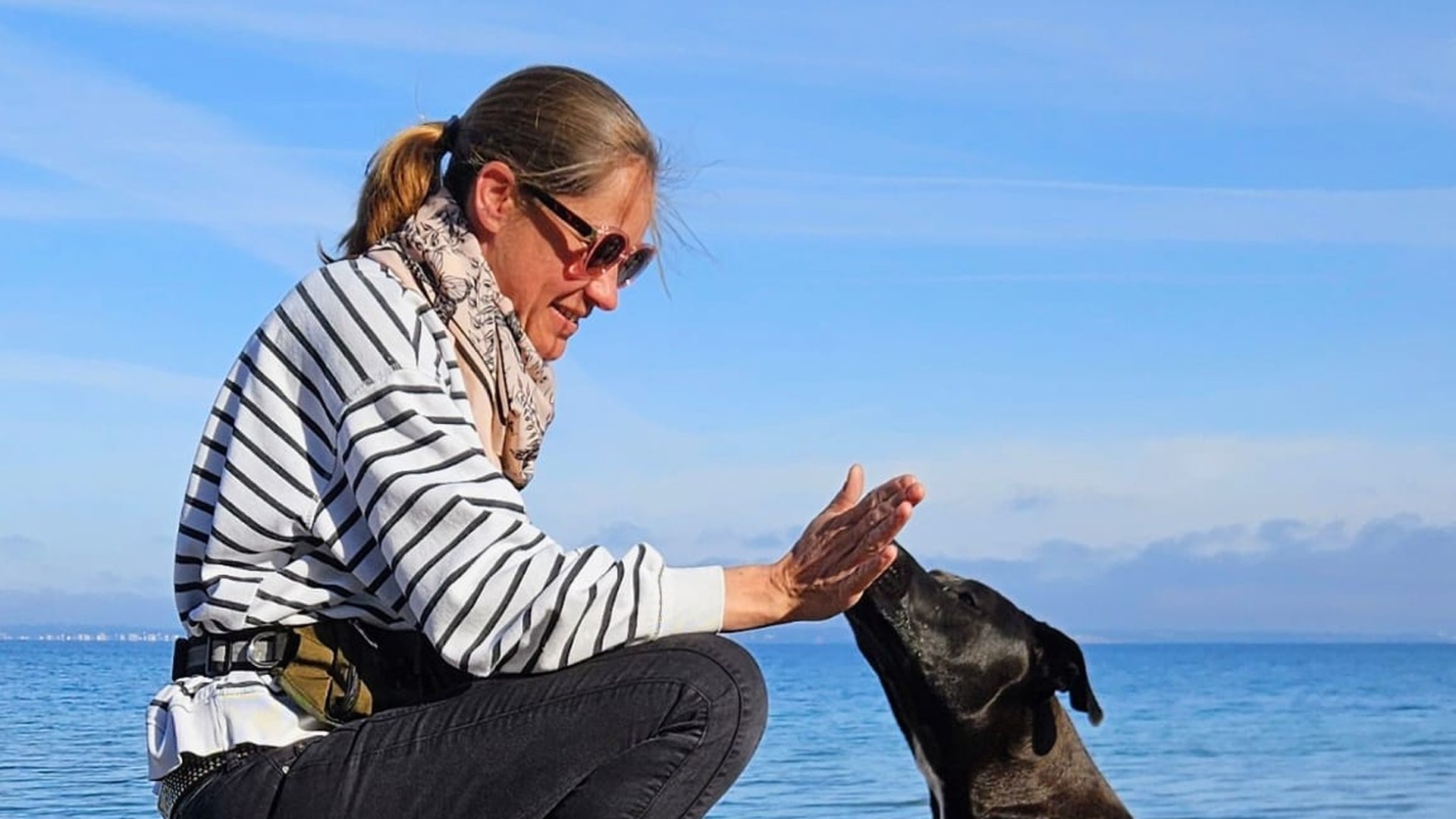 Hundetraining am Meer - Professionelles Training mit Herz und Verstand